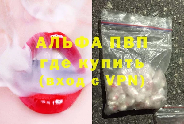 гидра Алексин