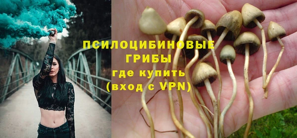 бошки Алексеевка